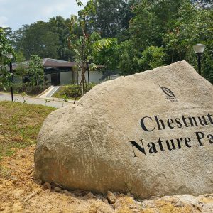 Chestnut-Nature-Park